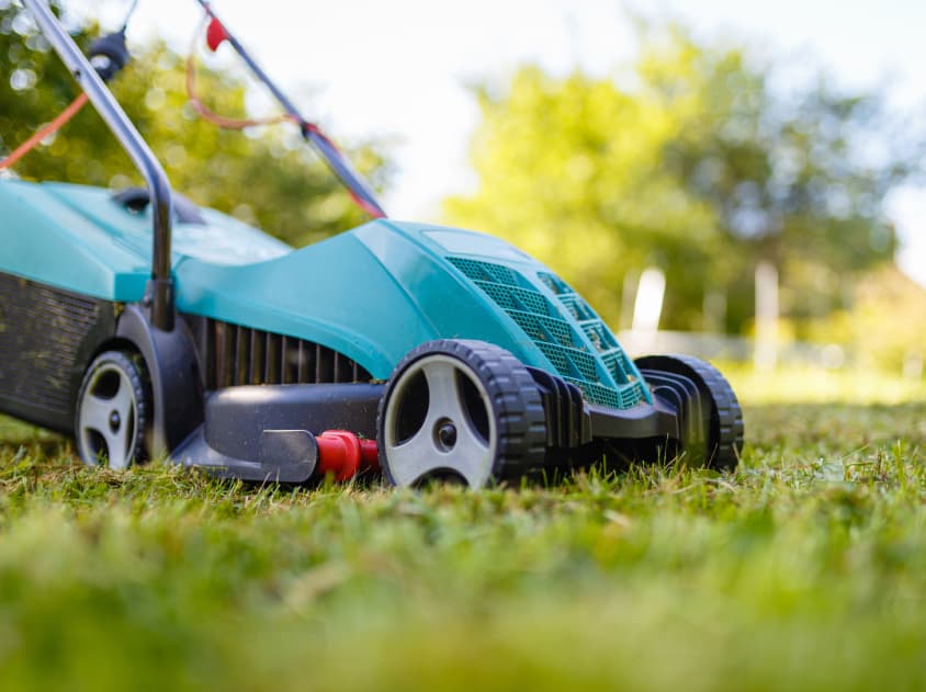 A close up of a teal electric mower with some blurred grass in the foreground and blurred trees in the background.